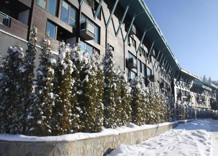 Forest View Silver M B34 Poiana Brasov