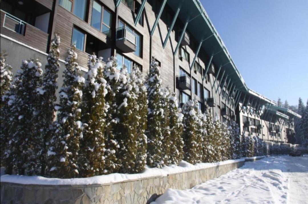 Apartment Forest View Silver M B34